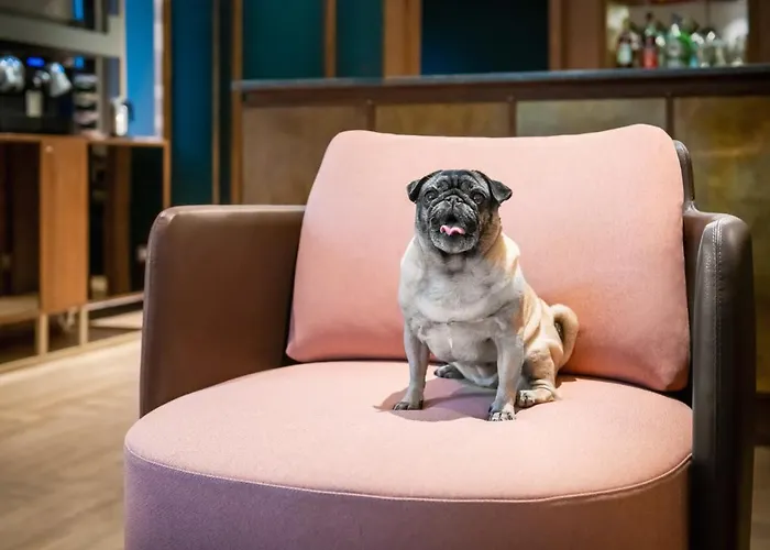 ホテル カナダ 3*