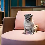 호텔 캐나다 3*